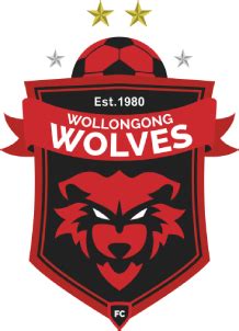 connor wollongong photos|Wollongong Wolves Football Club